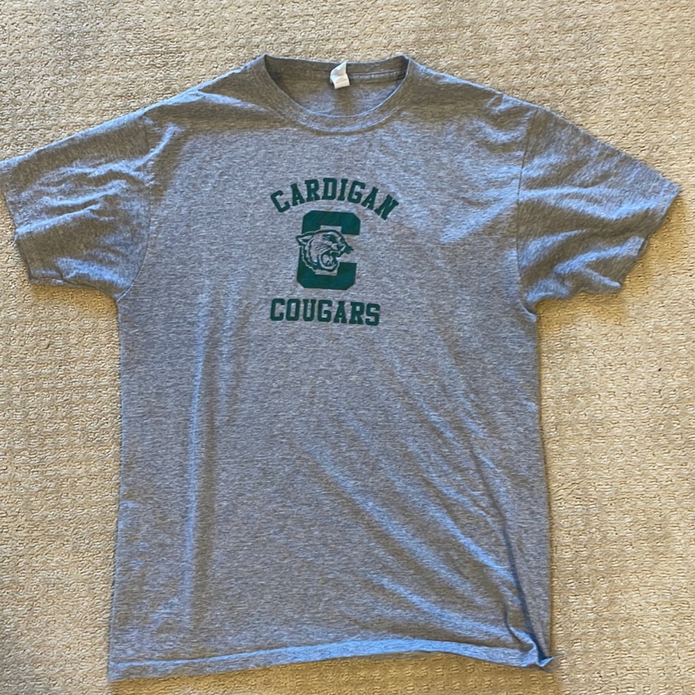 Gray jerzees dri power shirt (small)